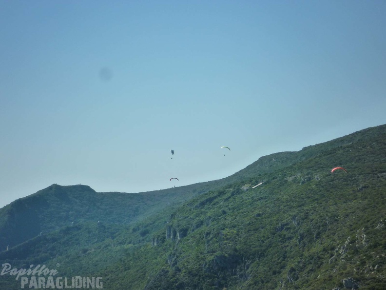 FPG 2017-Portugal-Paragliding-Papillon-466