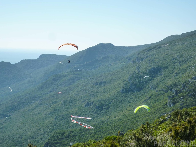 FPG 2017-Portugal-Paragliding-Papillon-470