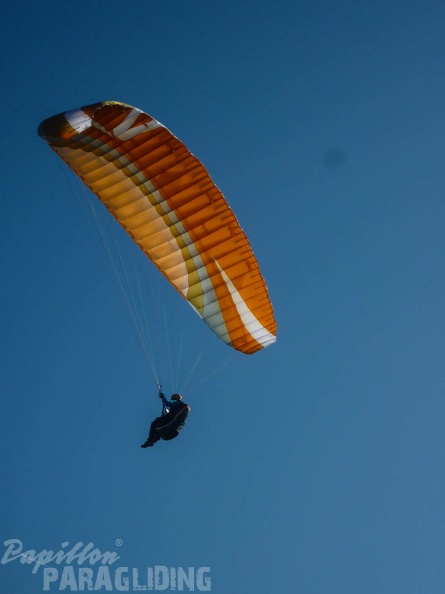 FPG_2017-Portugal-Paragliding-Papillon-482.jpg