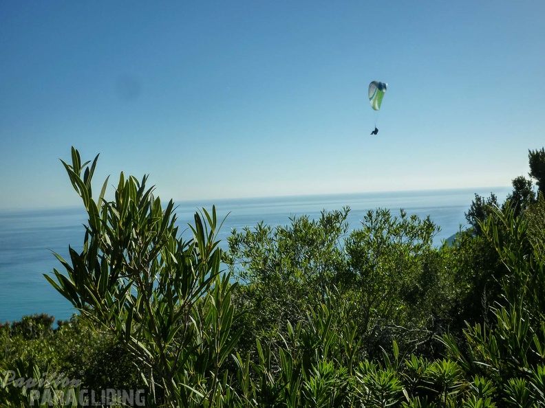 FPG 2017-Portugal-Paragliding-Papillon-503