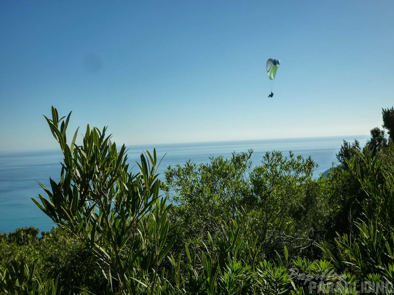 FPG 2017-Portugal-Paragliding-Papillon-503