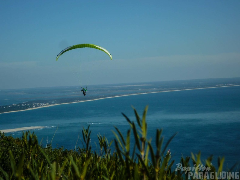 FPG 2017-Portugal-Paragliding-Papillon-508