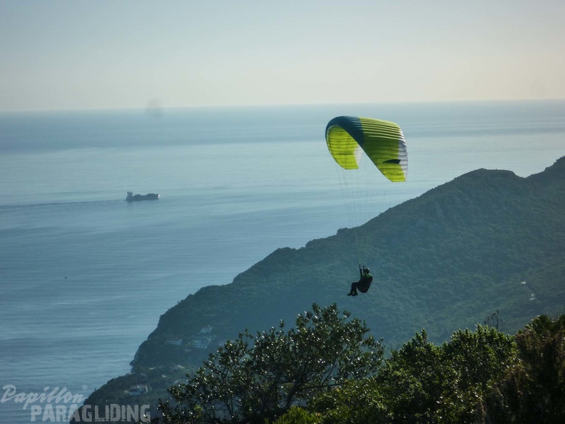 FPG 2017-Portugal-Paragliding-Papillon-518