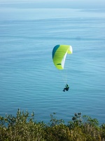 FPG 2017-Portugal-Paragliding-Papillon-519