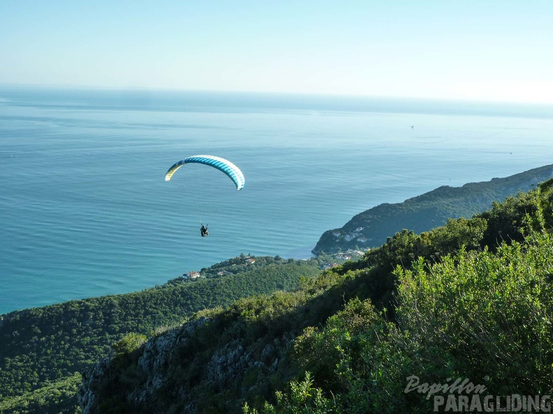 FPG 2017-Portugal-Paragliding-Papillon-536