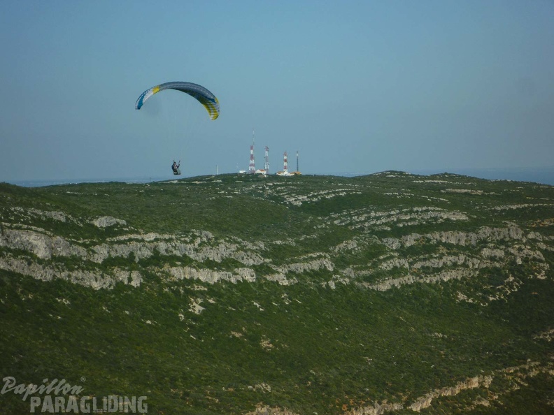 FPG 2017-Portugal-Paragliding-Papillon-545