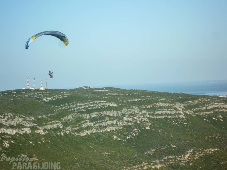 FPG 2017-Portugal-Paragliding-Papillon-546