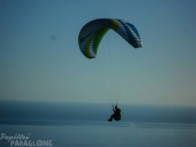 FPG 2017-Portugal-Paragliding-Papillon-549