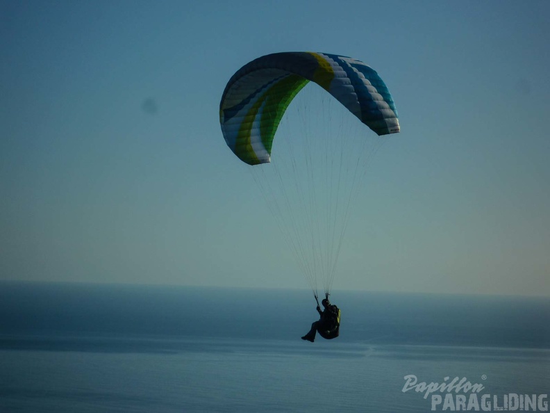 FPG 2017-Portugal-Paragliding-Papillon-549