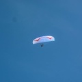 FPG 2017-Portugal-Paragliding-Papillon-565
