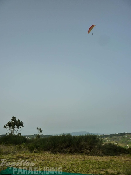 FPG 2017-Portugal-Paragliding-Papillon-596