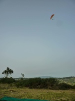 FPG 2017-Portugal-Paragliding-Papillon-596