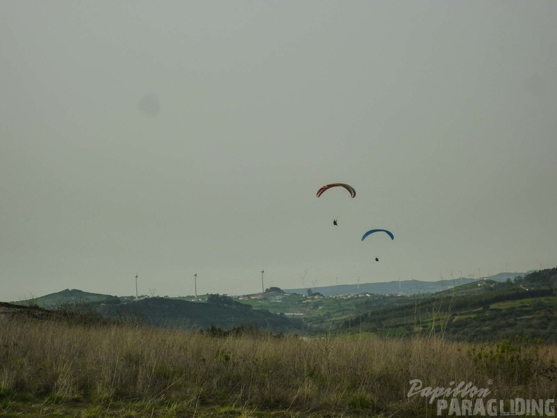 FPG 2017-Portugal-Paragliding-Papillon-597