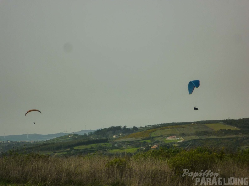 FPG 2017-Portugal-Paragliding-Papillon-598