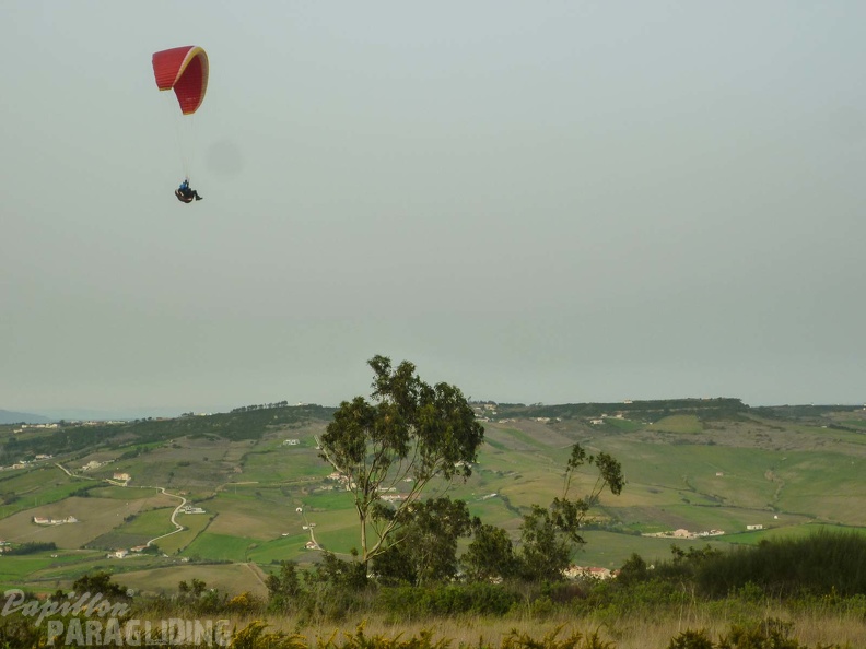 FPG 2017-Portugal-Paragliding-Papillon-602