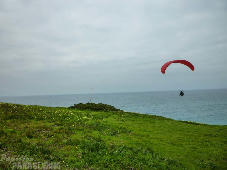 FPG 2017-Portugal-Paragliding-Papillon-725