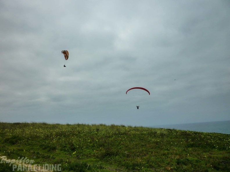 FPG_2017-Portugal-Paragliding-Papillon-726.jpg