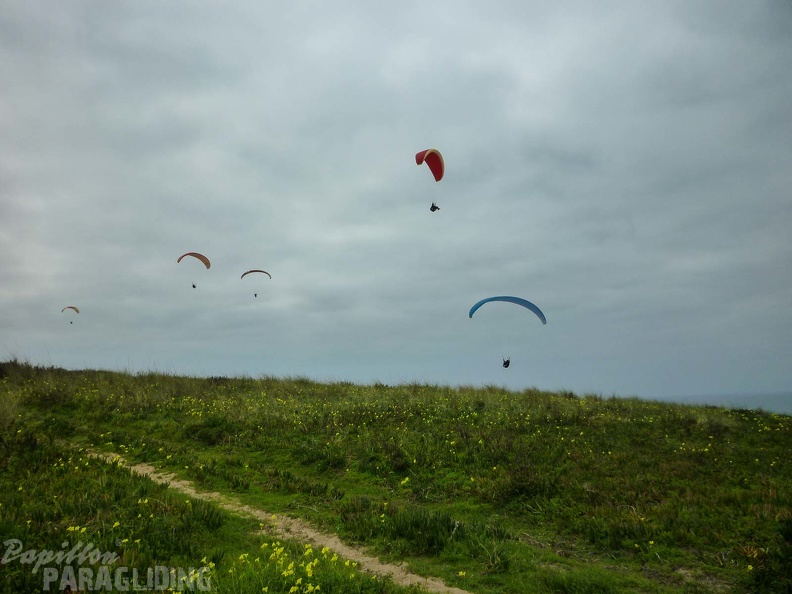 FPG 2017-Portugal-Paragliding-Papillon-728