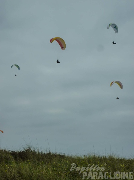 FPG 2017-Portugal-Paragliding-Papillon-750