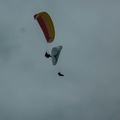FPG 2017-Portugal-Paragliding-Papillon-751