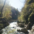 Slowenien_Papillon_FS42_13_012.jpg