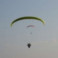 Slowenien_Papillon_FS42_13_042.jpg