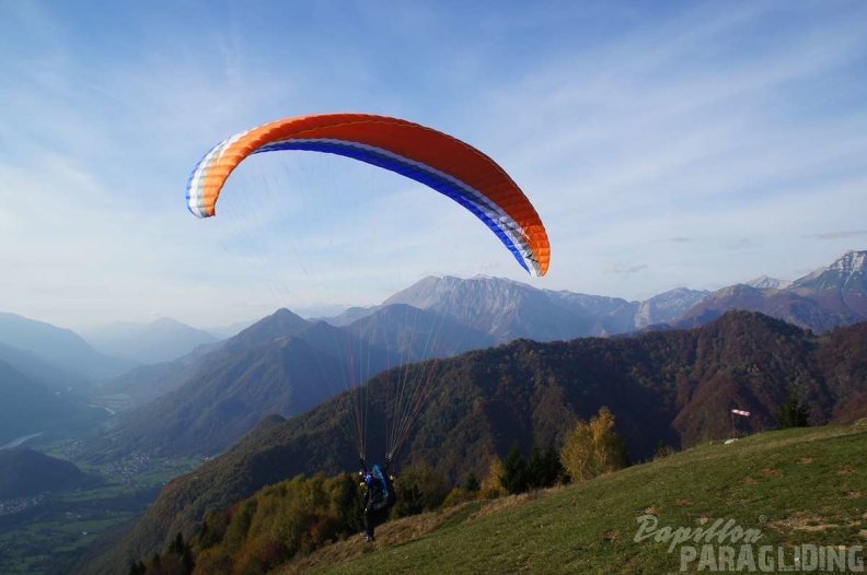 Slowenien_Papillon_FS42_13_125.jpg