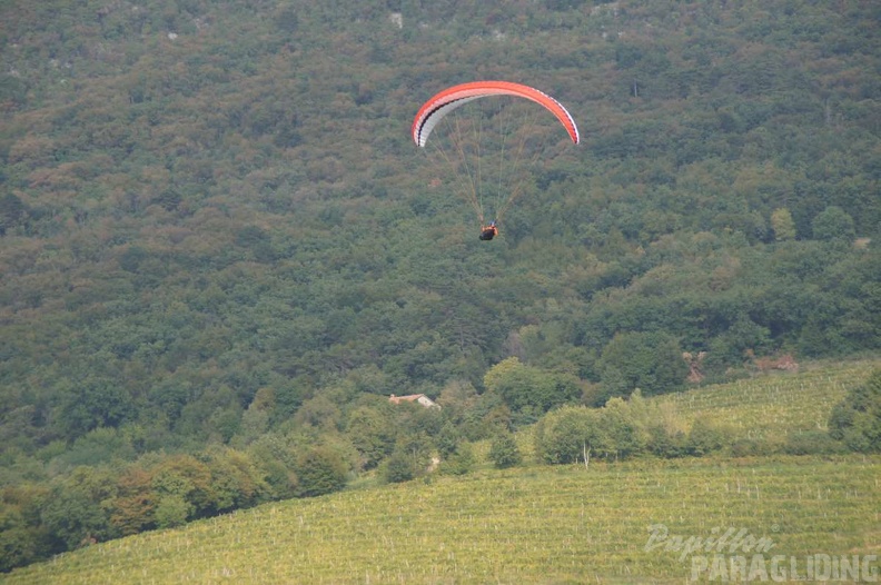 Slowenien_Paragliding_FSX39_13_059.jpg