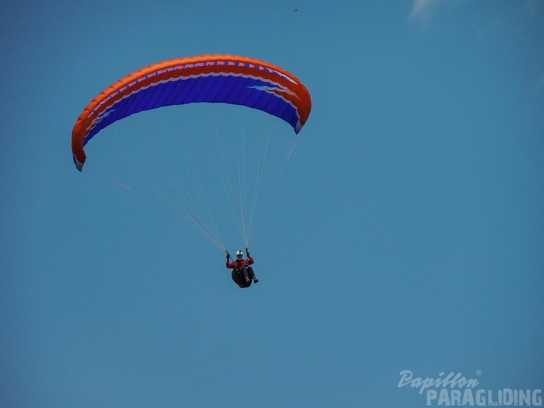 FSB30.15 Paragliding-Bled.jpg-1115