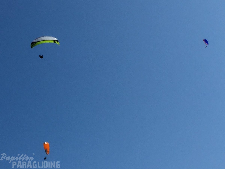 FSB30.15 Paragliding-Bled.jpg-1197