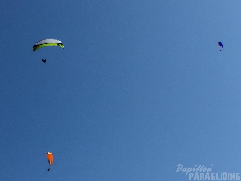 FSB30.15 Paragliding-Bled.jpg-1197