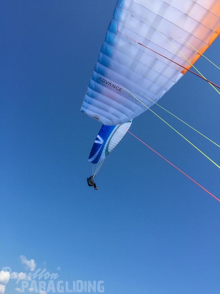 FSB30.15 Paragliding-Bled.jpg-1384