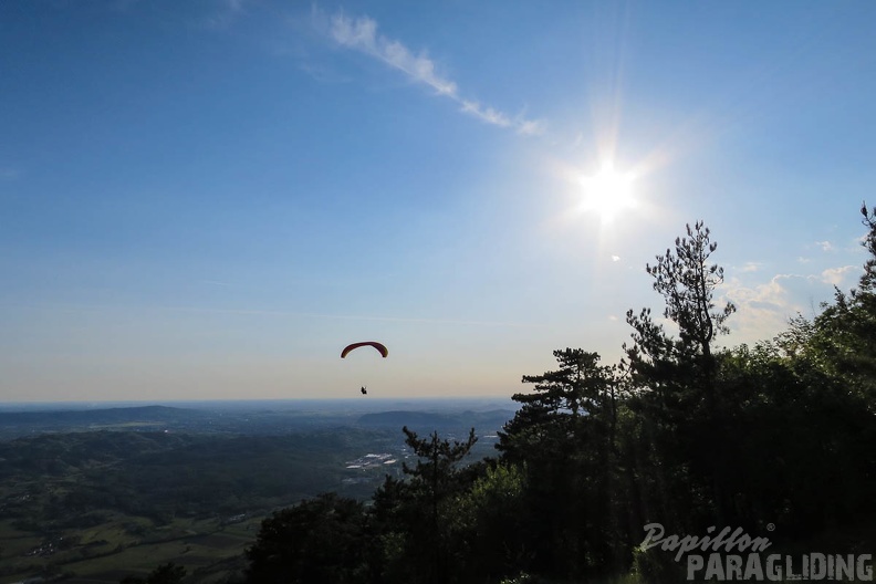 FSS19 15 Paragliding-Flugsafari-105