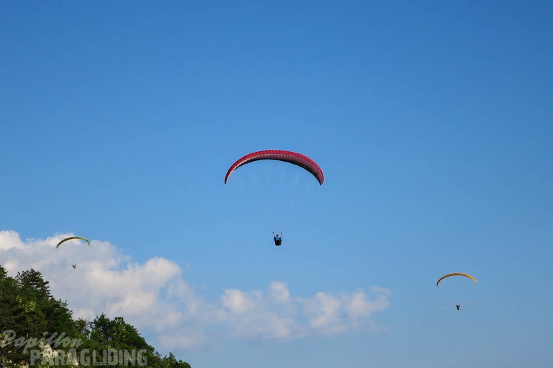 FSS19 15 Paragliding-Flugsafari-111