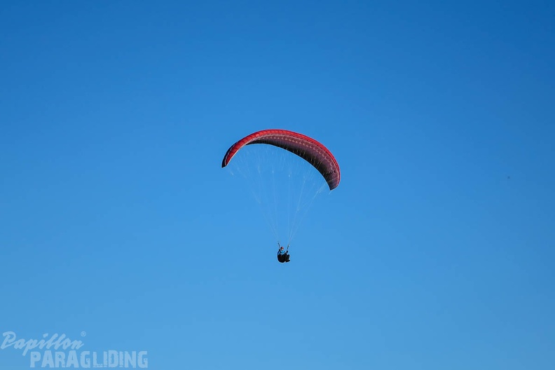 FSS19_15_Paragliding-Flugsafari-112.jpg