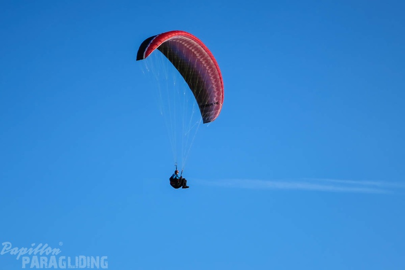 FSS19_15_Paragliding-Flugsafari-113.jpg