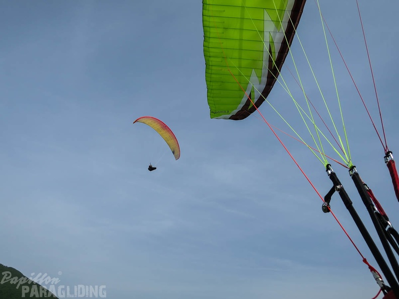 FSS19_15_Paragliding-Flugsafari-315.jpg