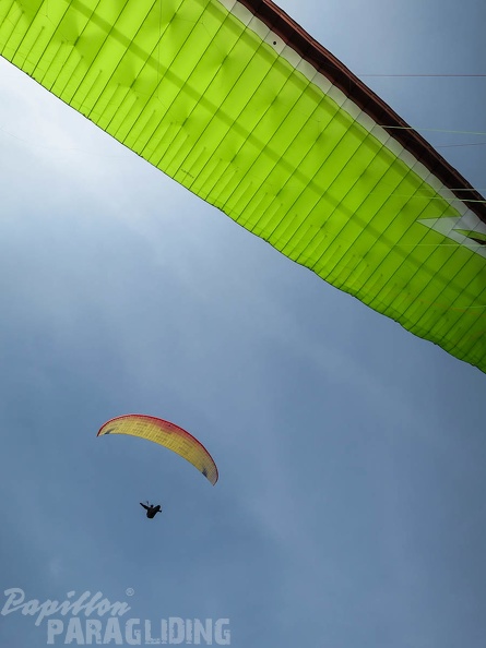 FSS19 15 Paragliding-Flugsafari-317