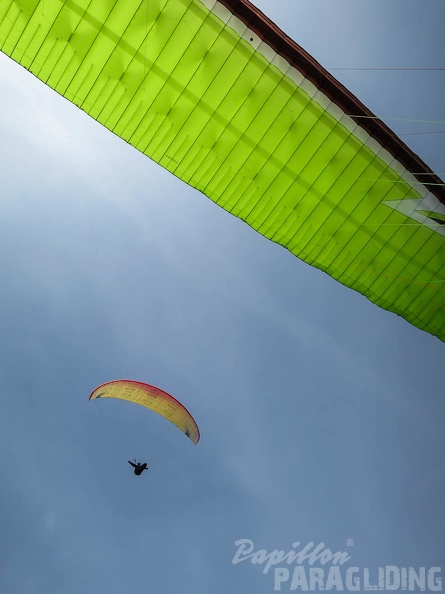 FSS19 15 Paragliding-Flugsafari-317