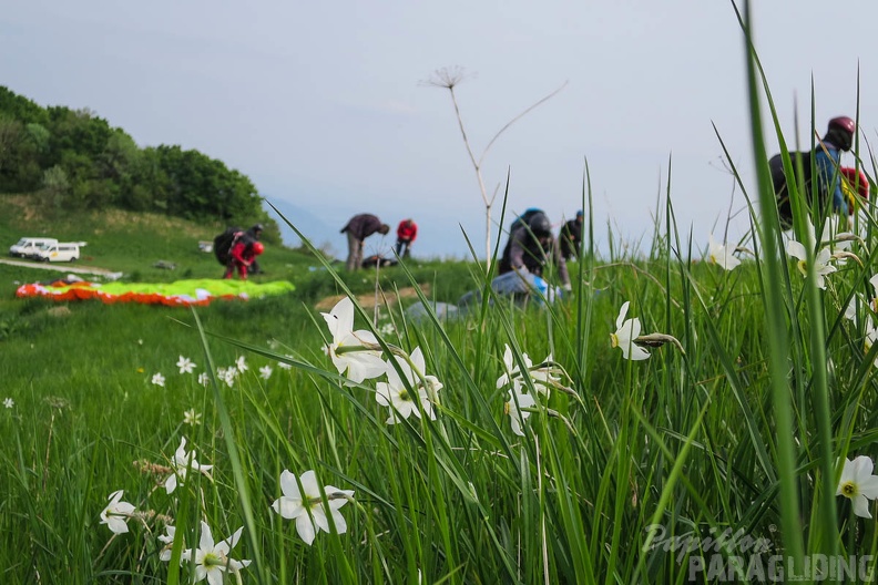 FSS19_15_Paragliding-Flugsafari-345.jpg