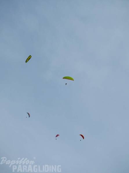 FSS19_15_Paragliding-Flugsafari-354.jpg