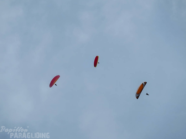 FSS19 15 Paragliding-Flugsafari-359