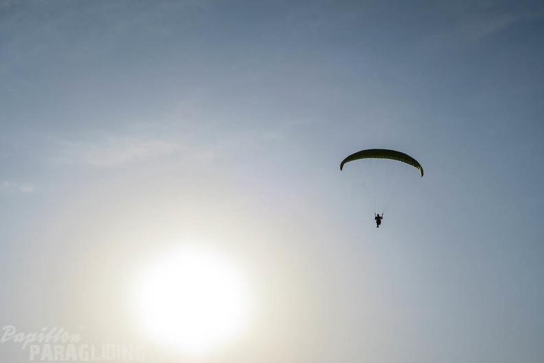 FSS19_15_Paragliding-Flugsafari-411.jpg