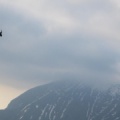 FS16.16-Slowenien-Paragliding-1016