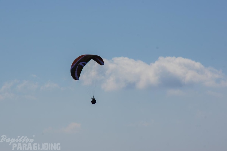 FS16.16-Slowenien-Paragliding-2170
