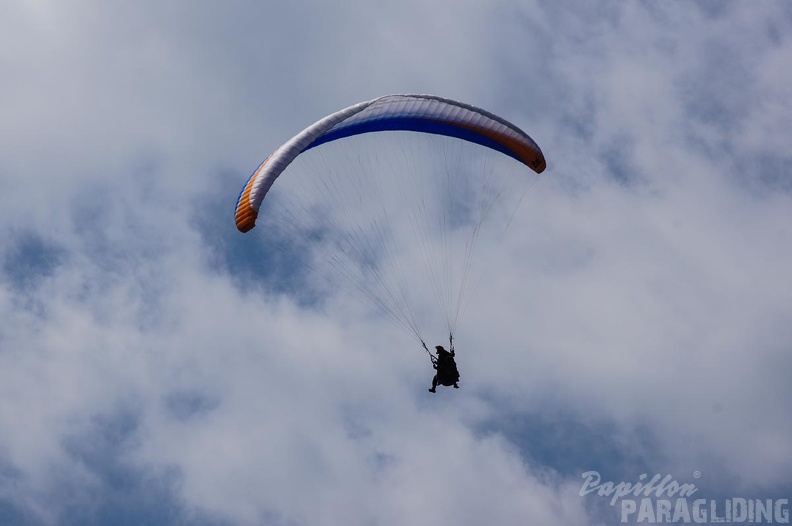 FS16.16-Slowenien-Paragliding-2226.jpg