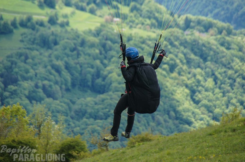 FS19.17 Slowenien-Paragliding-Papillon-249