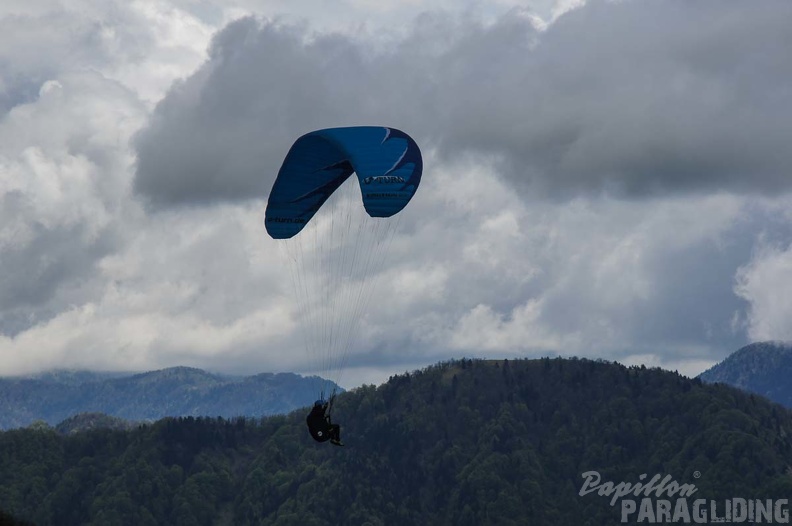 FS19.17 Slowenien-Paragliding-Papillon-253