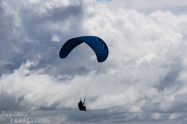 FS19.17 Slowenien-Paragliding-Papillon-254