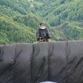 FS19.17 Slowenien-Paragliding-Papillon-261